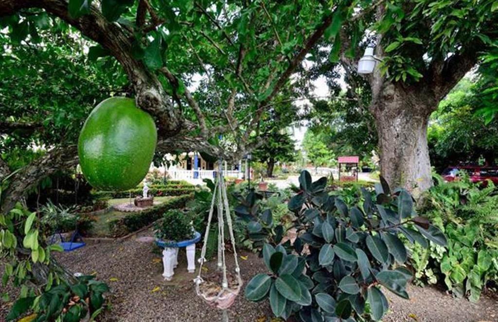 Hostel Sana El Jardin Secreto Santiago De Los Caballeros Exteriér fotografie